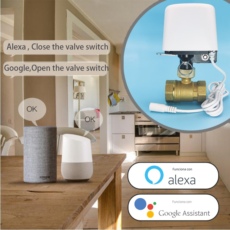 1/2인치 3/4인치 1인치 DN32 투야 지그비 와이 - Smart Garden Home Assistant 리뷰 및 가격