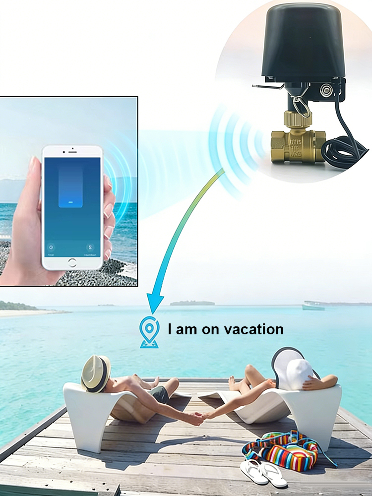 투야 스마트 워터 밸브 ​   DN15/DN20/DN2 - Smart Garden Home Assistant 리뷰 및 가격