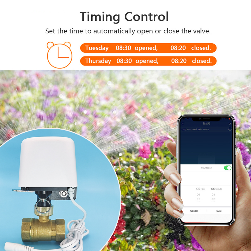 1/2인치 3/4인치 1인치 DN32 투야 지그비 와이 - Smart Garden Home Assistant 리뷰 및 가격