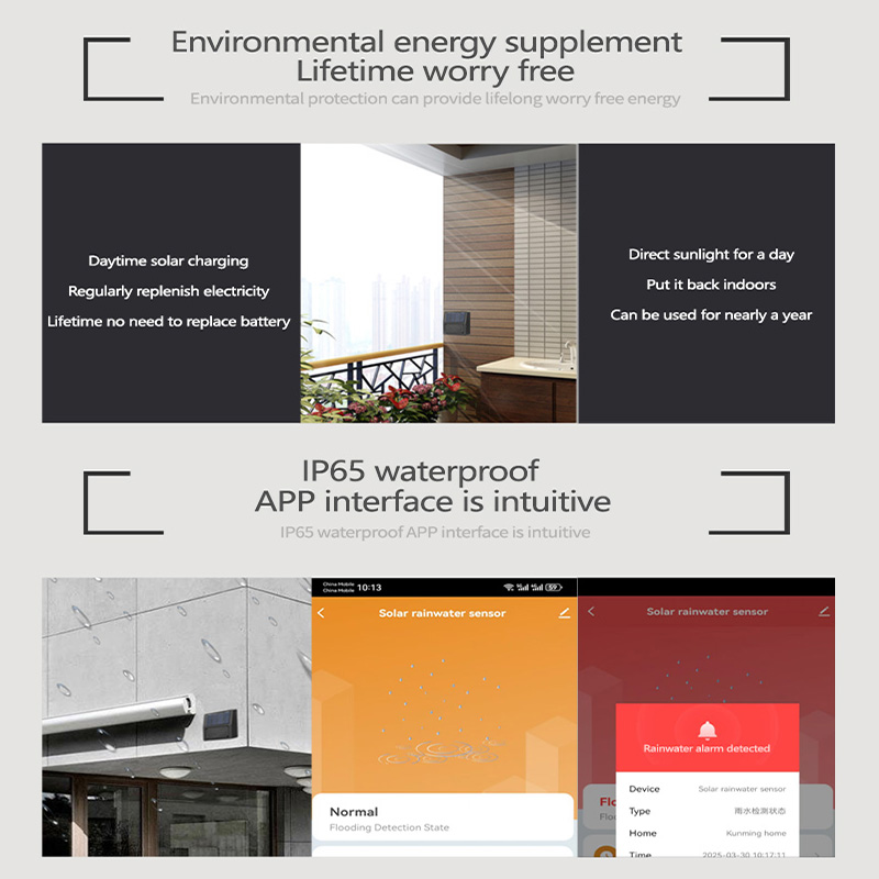 Tuya Zigbee 레인 센서 실시간 비 경고 스마트 - Smart Garden Home Assistant 리뷰 및 가격