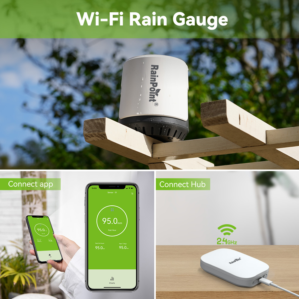 RAINPOINT 무선 디지털 레인 게이지 야외 앱 제 - Rain Gauge Digital 리뷰 및 가격