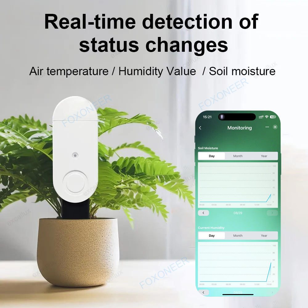 Zigbee 3.0 스마트 토양 테스터 Z2M 홈 어시 - Smart Garden Home Assistant 리뷰 및 가격